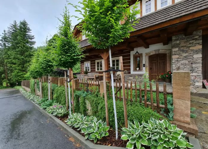 48b01f6e-b5b3-44dd-a4bf-6ff4052e0157male