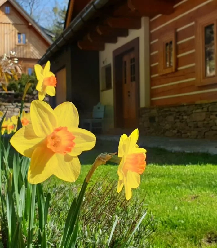 eb7fb3f3-b73a-488e-b260-0f65562140a6male